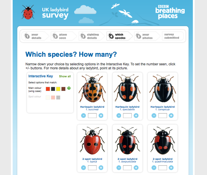 Choosing a ladybird species on BBC Breathing Places
