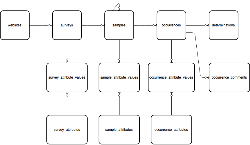Entity Relationship Diagram for the species observations module of the database.