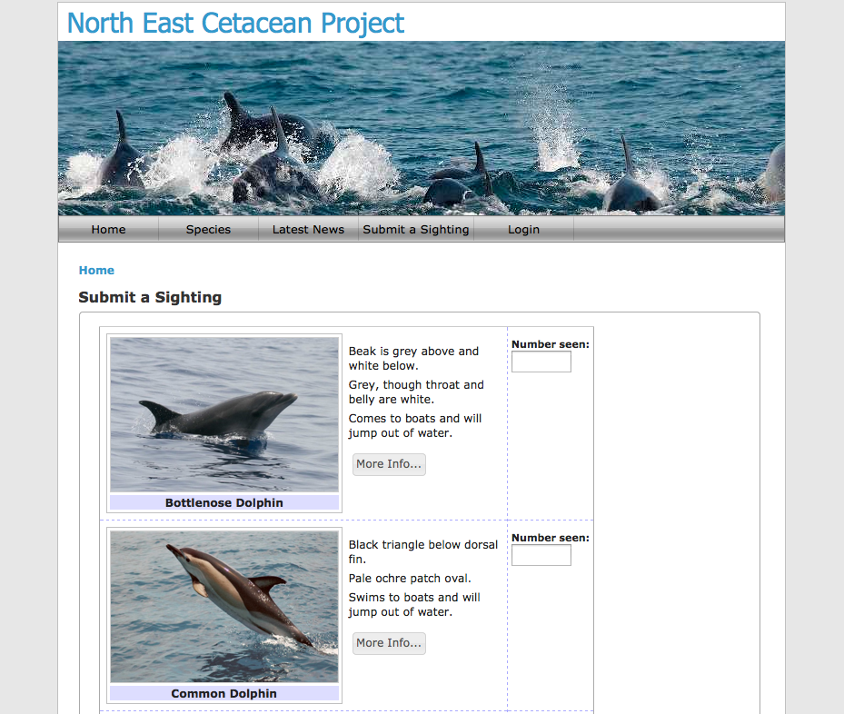 Selecting a cetacean species